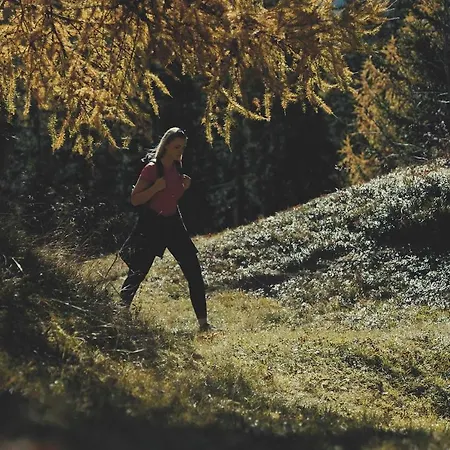 Kirchdach 145 - Naviser Huette Nyaraló